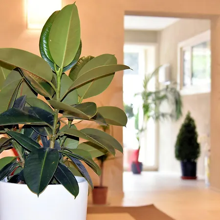 Cecina 3* Marina di Cecina